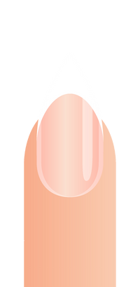 Stylet