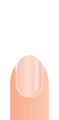 Court