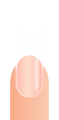 Très Long